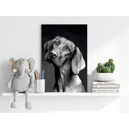 Expressive Weimaraner in black-and-white on Insigne aluminum print