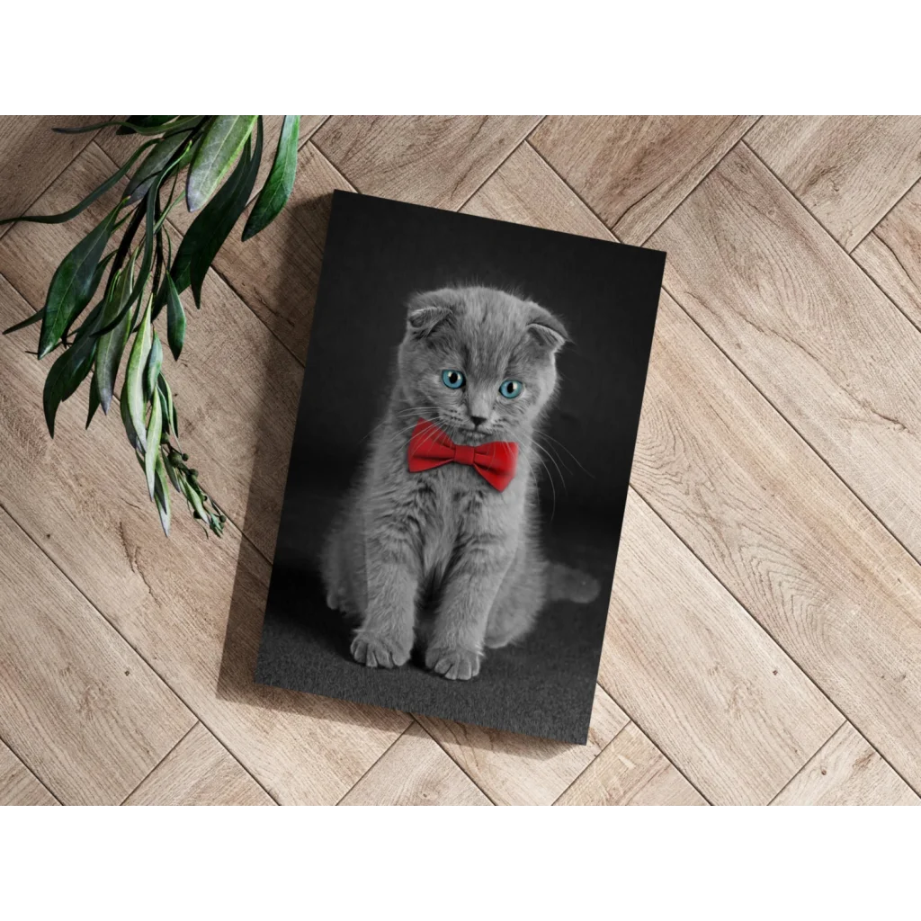 Dapper Scottish Fold Kitten Insigne Aluminum Print | Modern Wall Art Decor | vintageantiquesgifts.com