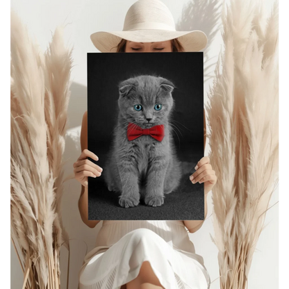 Dapper Scottish Fold Kitten Insigne Aluminum Print | Contemporary Home Wall Art | vintageantiquesgifts.com