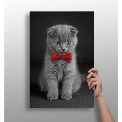 Dapper Scottish Fold Kitten Insigne Aluminum Print | Insigneart USA | vintageantiquesgifts.com