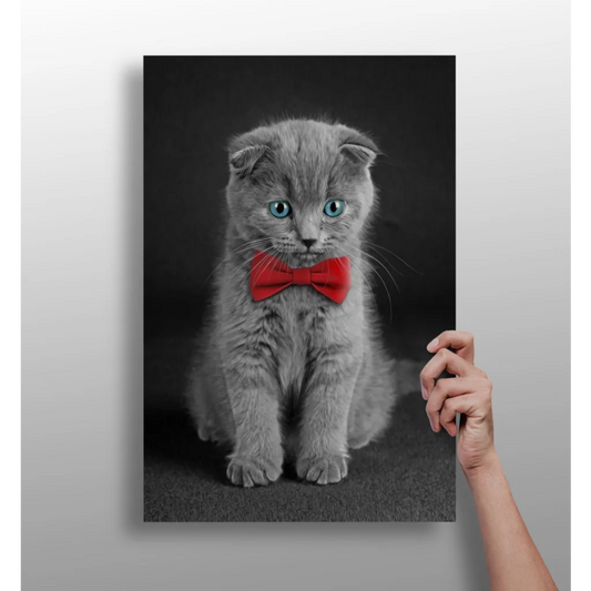 Dapper Scottish Fold Kitten Insigne Aluminum Print | Insigneart USA | vintageantiquesgifts.com
