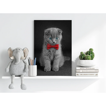 Dapper Scottish Fold gray kitten with blue eyes on insigne aluminum print