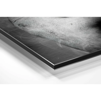 Brushed aluminium dibond print with black frame and grayscale abstract art