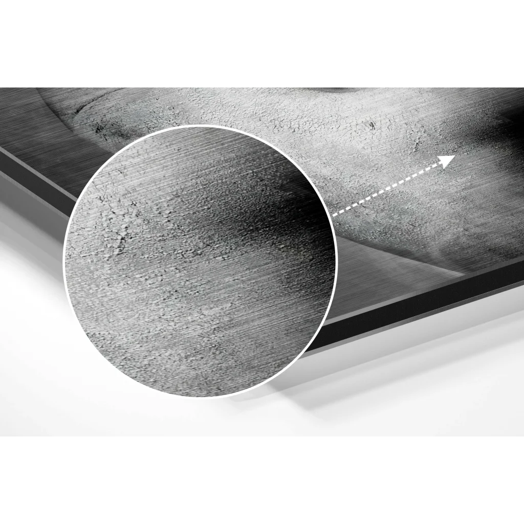 Dance with Smoke Brushed Aluminium Dibond Wall Art