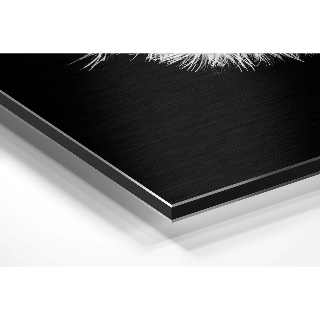 Glass Wall Art Dandelion Brushed Aluminium Dibond Wall Art