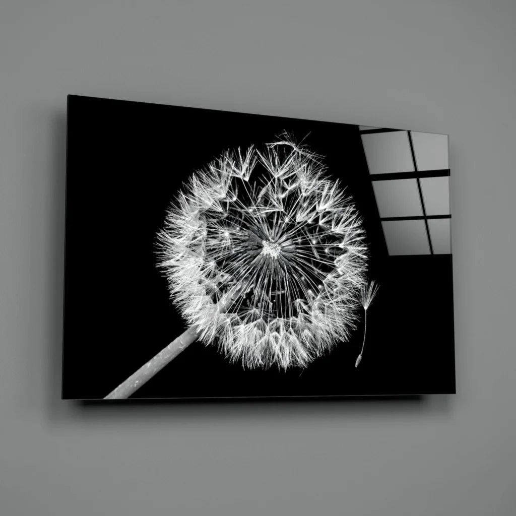 Black-and-white dandelion wall art canvas print with high-contrast seed head