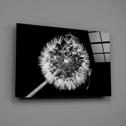Black-and-white dandelion wall art canvas print with high-contrast seed head
