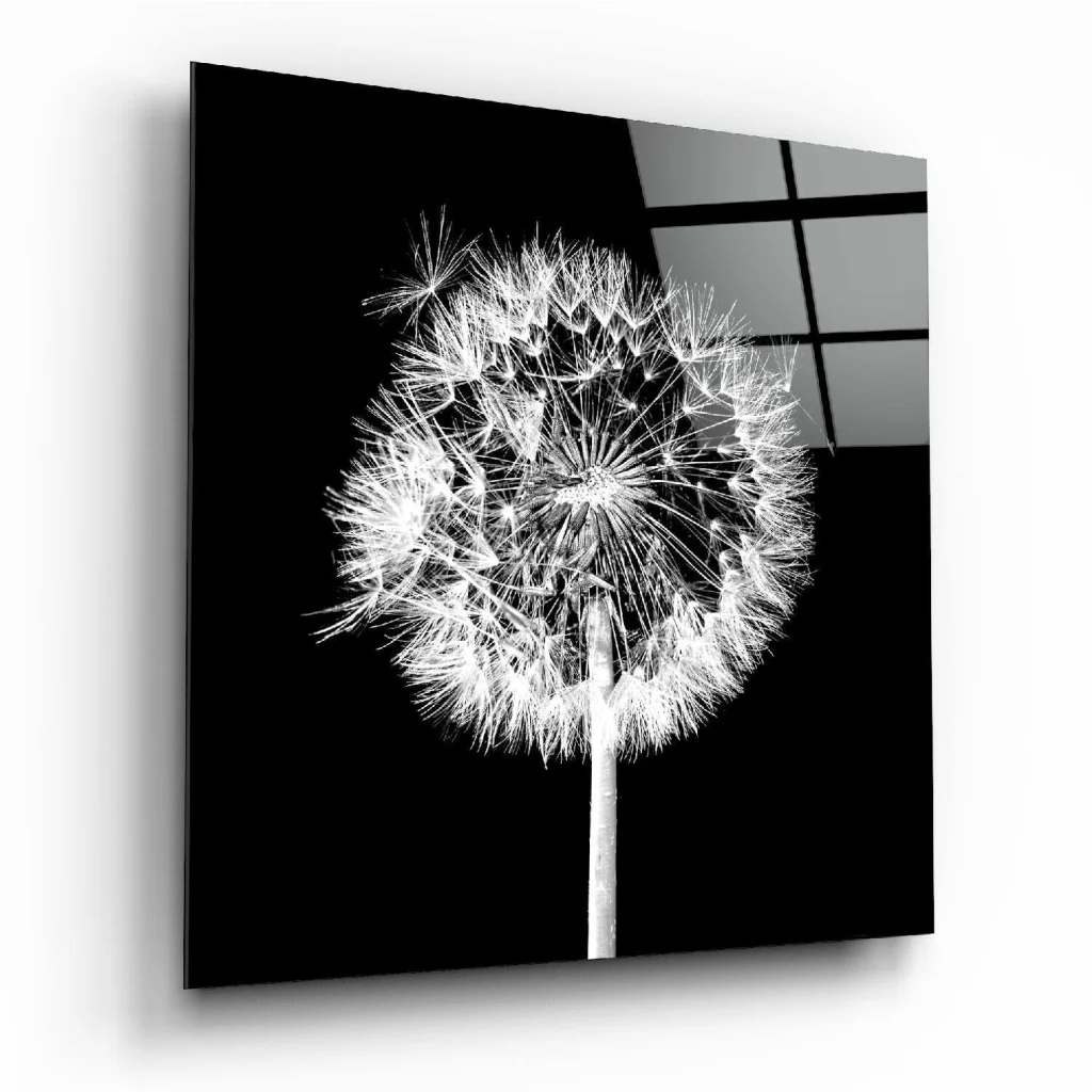 Stunning Dandelion Glass Wall Art in Sleek Black and White | Insigneart USA | vintageantiquesgifts.com