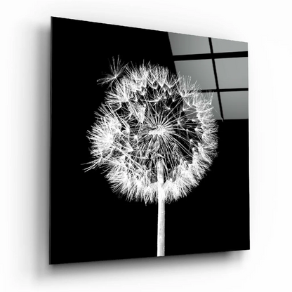 Stunning Dandelion Glass Wall Art in Sleek Black and White | Insigneart USA | vintageantiquesgifts.com