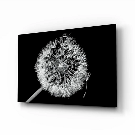 Stunning black and white dandelion wall art canvas print