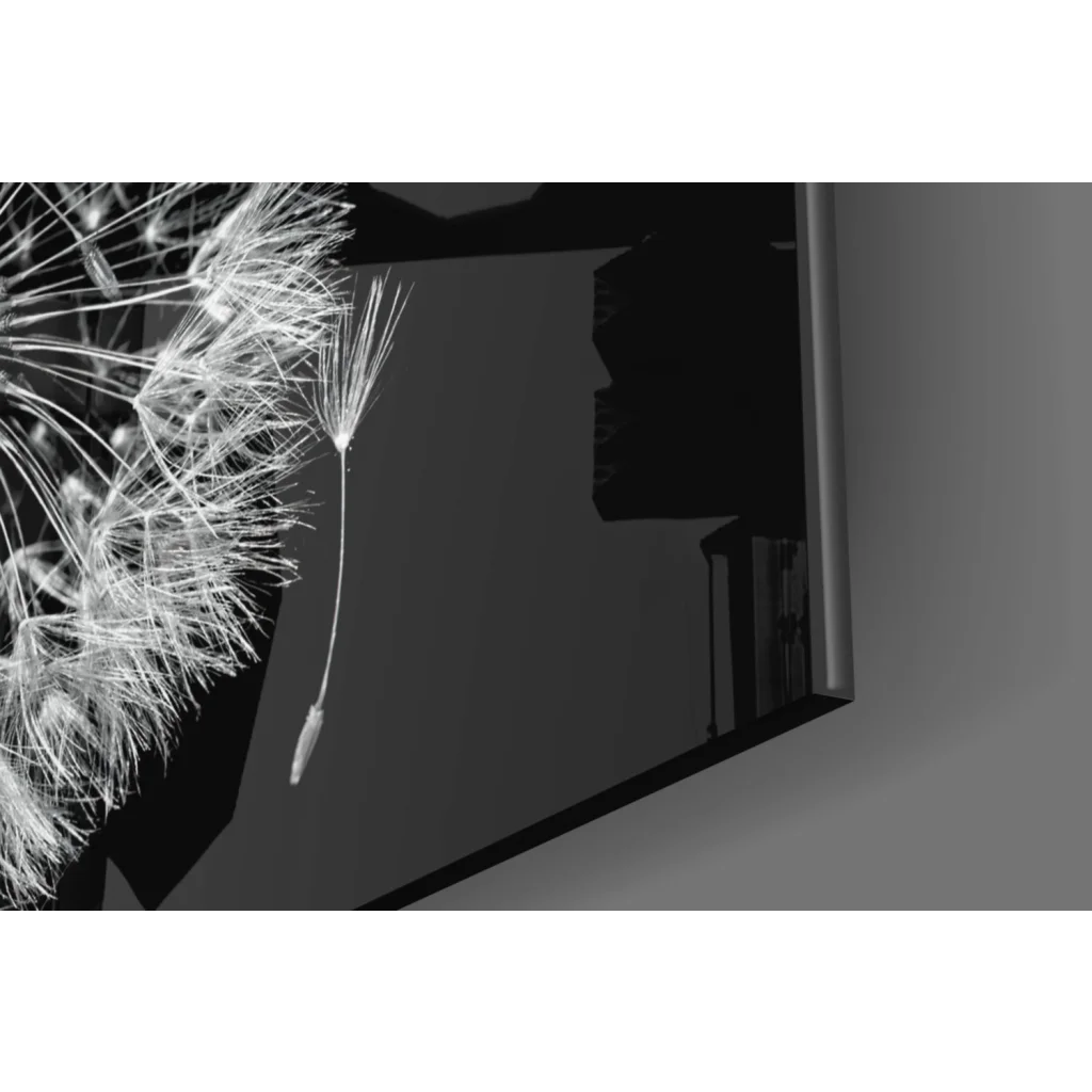 Delicate dandelion seed head in bold black and white wall art