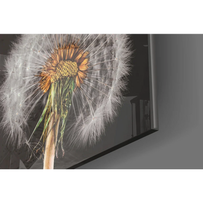 Framed dandelion glass wall art print with fluffy seeds and yellow center