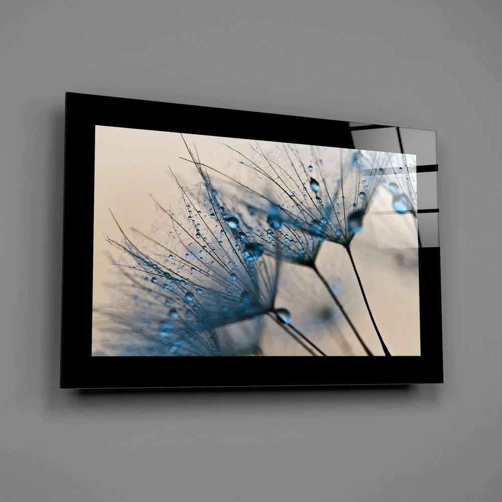 Modern black-framed glass wall art of blue dandelion seeds with water droplets