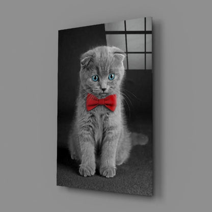 Dapper gray Scottish Fold kitten in red bow tie wall art print