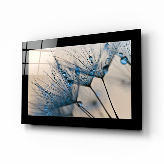 Black-framed glass wall art displaying a macro photograph of dandelion seeds with blue water droplets, mounted at an angle against a white background.