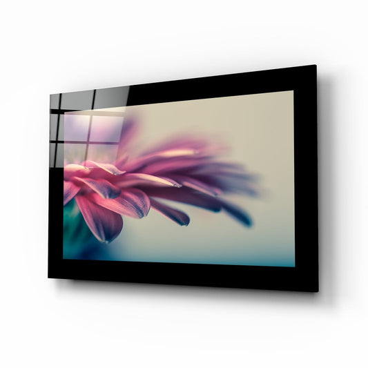 Black-framed glass wall art displaying a soft-focus pink daisy with blurred petals and teal-blue gradient background, shown at an angled perspective.