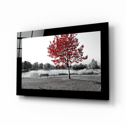 Scarlet Tree Lake Bench Glass Wall Art