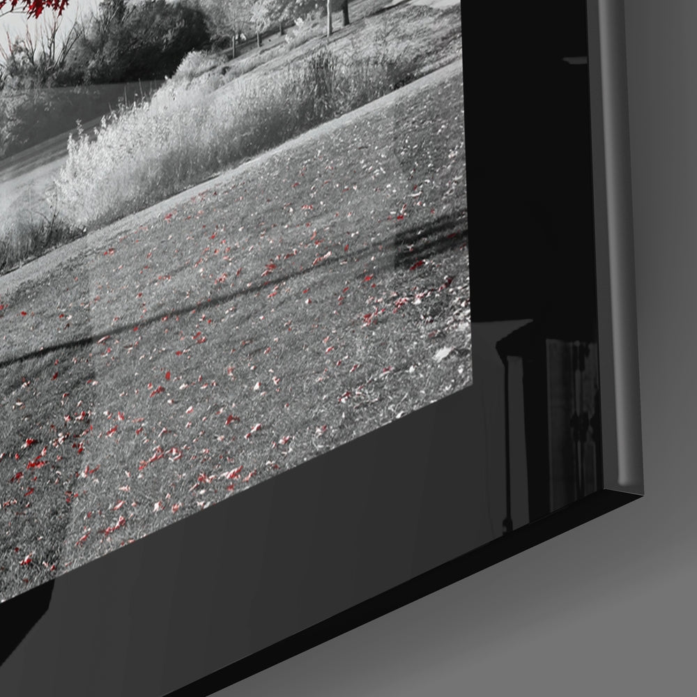 Scarlet Tree Lake Bench Glass Wall Art