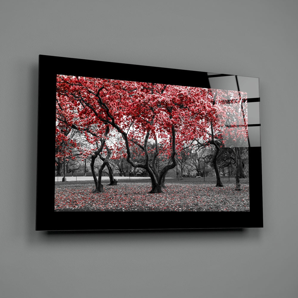 Black-framed glass wall art displaying a park scene with red-leafed trees and dark trunks against grayscale background, mounted on gray wall.
