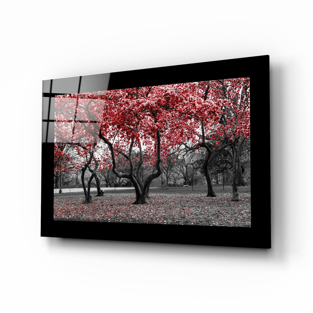 Black-framed glass wall art displaying a park scene with bare trees and vibrant red foliage, shown at an angled perspective.