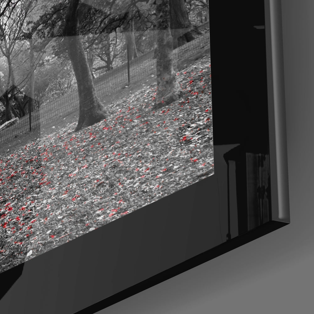Close-up side view of black-framed glass wall art displaying black and white forest scene with red accent leaves on ground.