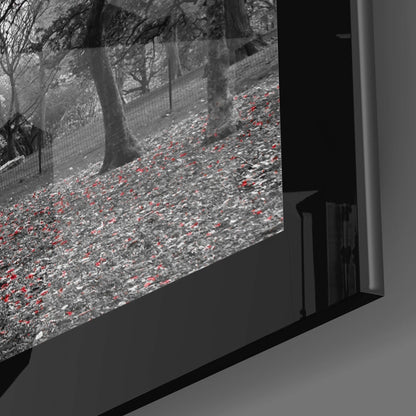 Close-up side view of black-framed glass wall art displaying black and white forest scene with red accent leaves on ground.