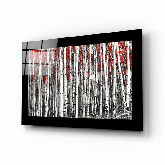 Black-framed glass wall art displaying a black and white birch forest with red canopy foliage, mounted on white wall at angle.