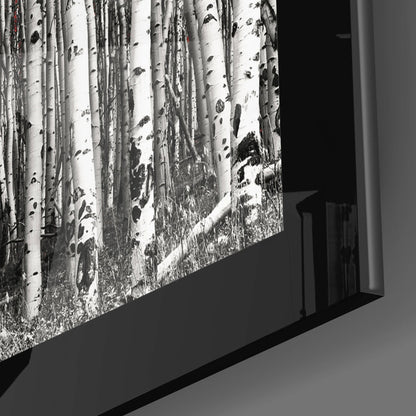 Black Border Birch Grove Red Canopy Glass Wall Art