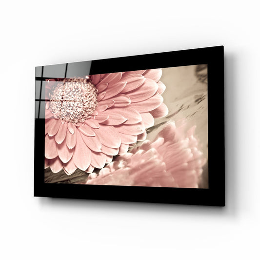 Black-framed glass wall art displaying dusty pink gerbera daisy in soft focus, angled perspective view.