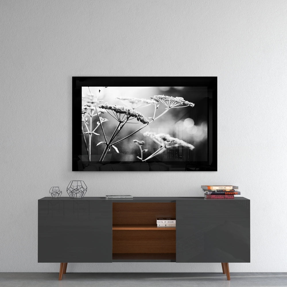 Black-framed glass wall art displaying frost-covered wildflower stems in monochrome, mounted above a mid-century modern credenza.