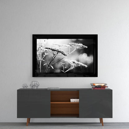 Black-framed glass wall art displaying frost-covered wildflower stems in monochrome, mounted above a mid-century modern credenza.