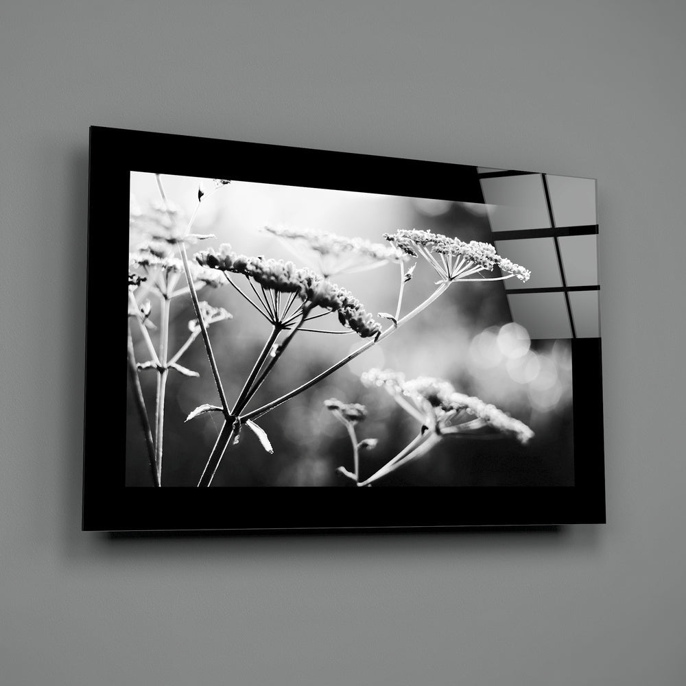 Black-framed glass wall art displaying monochromatic photograph of frost-covered plant stems and seed heads mounted on gray wall.