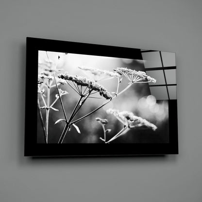 Black-framed glass wall art displaying monochromatic photograph of frost-covered plant stems and seed heads mounted on gray wall.