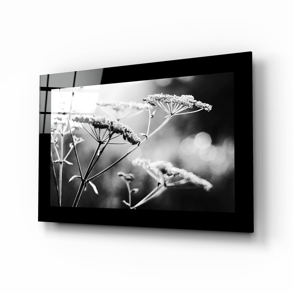 Black-framed glass wall art displaying a monochromatic photograph of delicate frost-covered seed pods with blurred background.