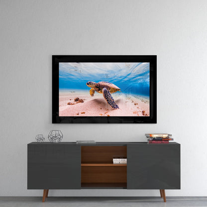 Framed sea turtle glass wall art mounted above a dark wood media console, displaying underwater ocean scene with sandy bottom and blue water.