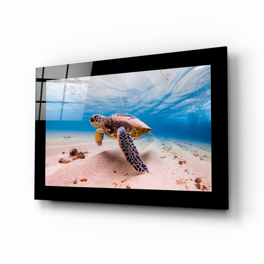 Sea turtle swimming near sandy ocean floor displayed in black-framed glass wall art mounted on white wall.