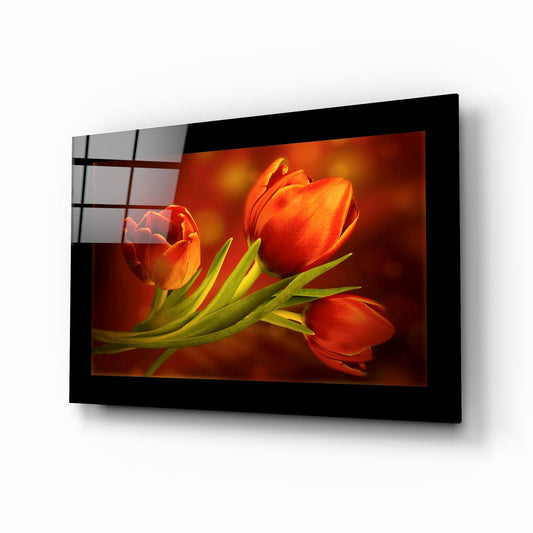 Three vibrant red tulips with green stems displayed on dark amber glass mounted in black frame, angled perspective view.