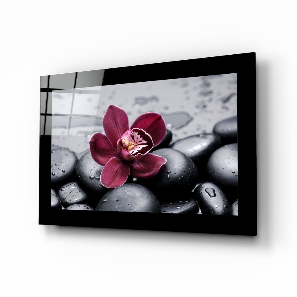 Burgundy Orchid Gray Spa Stones Glass Wall Art