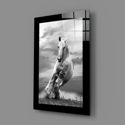 Charging White Horse Photo Glass Wall Art