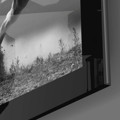 Charging White Horse Photo Glass Wall Art