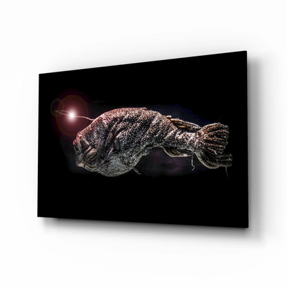 Glowing anglerfish deep sea canvas wall art print with textured lure