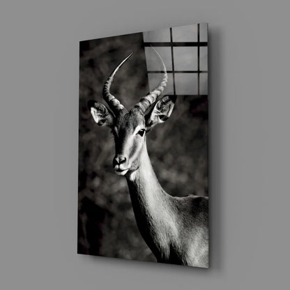 Stunning Impala Glass Wall Art in Bold Black and White | Glass Wall Art Print | vintageantiquesgifts.com