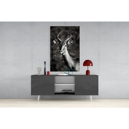 Stunning black-and-white impala glass wall art with prominent horns
