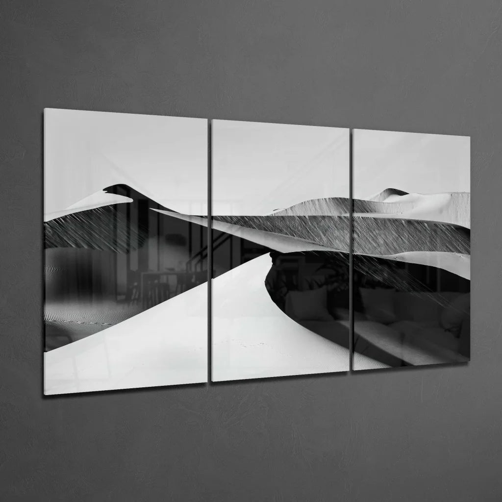 Black and white wave triptych wall art with flowing forms