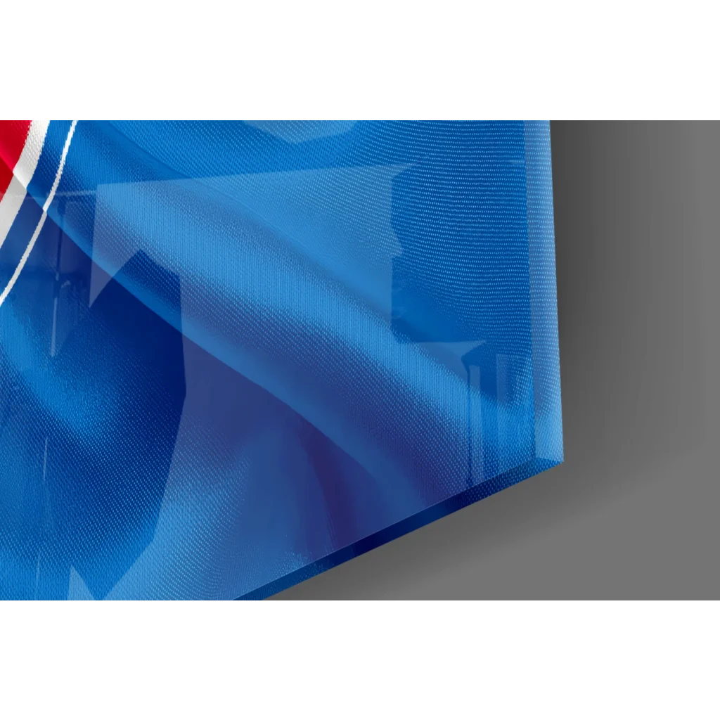 Detroit Pistons Pepsi logo on glossy acrylic glass wall art