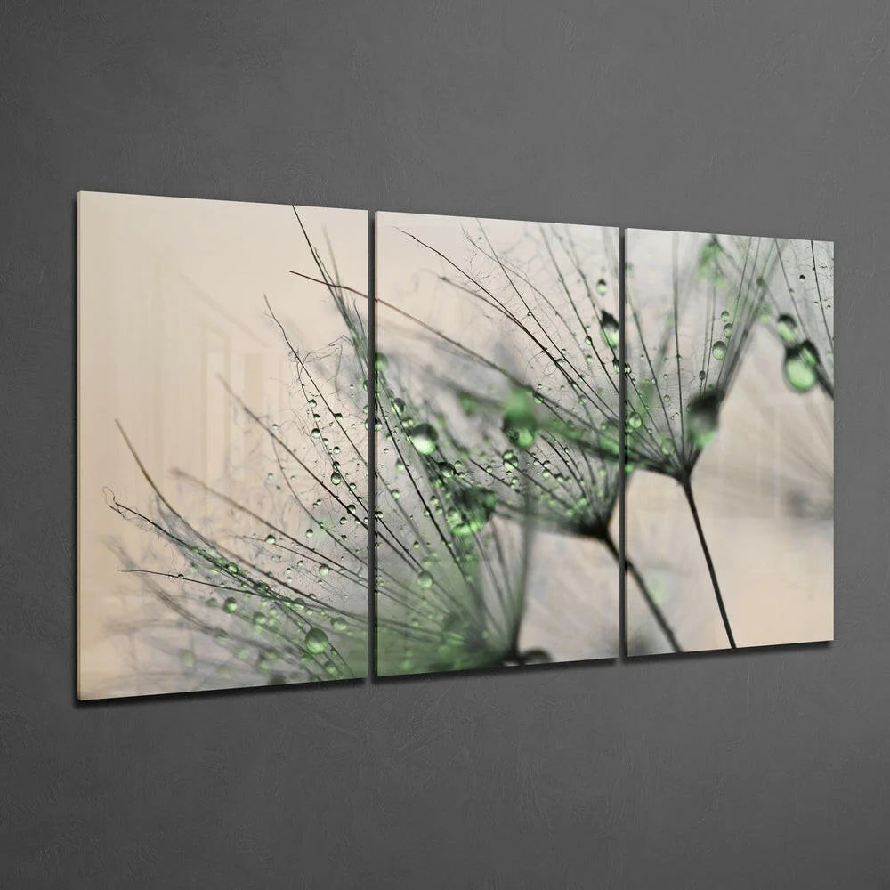 Dewy green dandelion triptych wall art canvas with dew drops