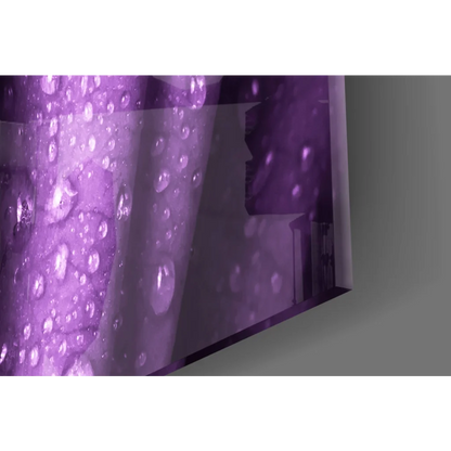 Dewy Purple Rose glass wall art with water droplets on purple panel