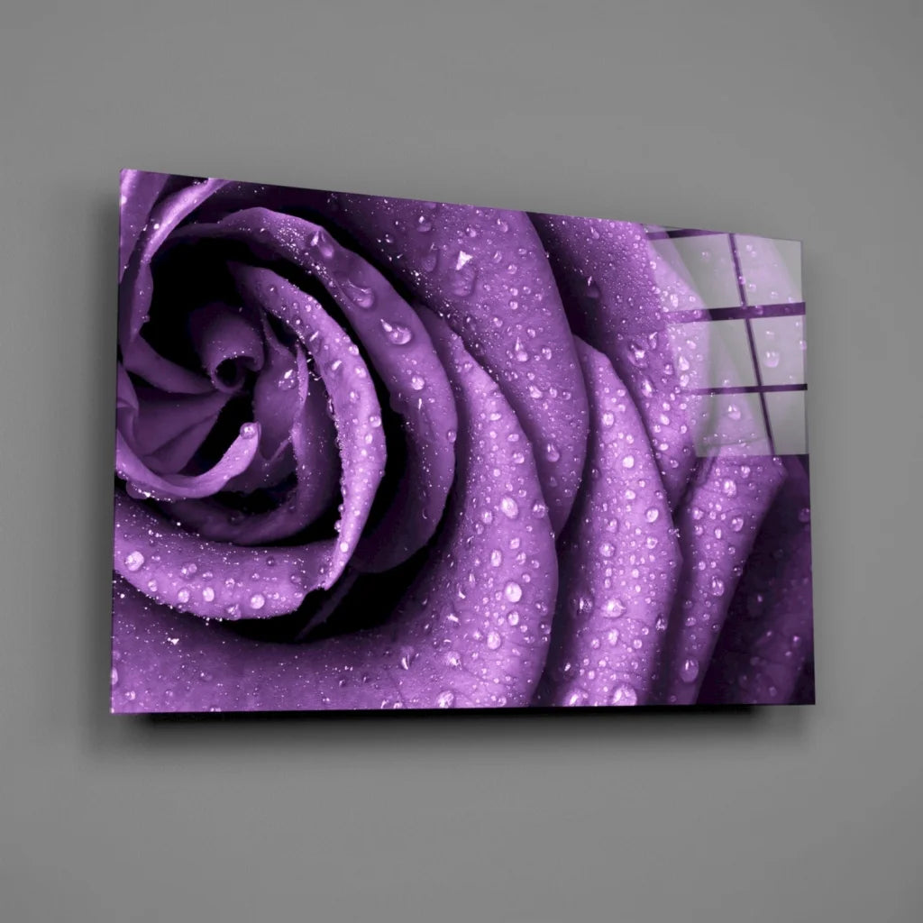 Vibrant purple rose glass wall art with dewy petals