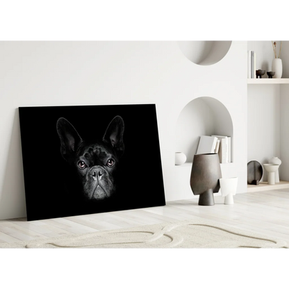 Bold black and white French bulldog portrait canvas wall art