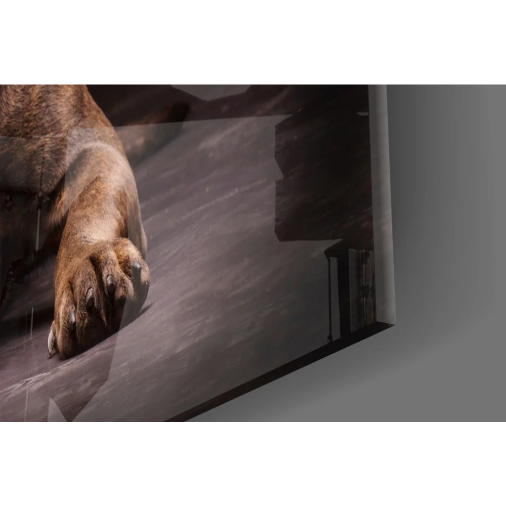 Realistic lion paw glass wall art print in warm brown tones on black frame